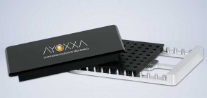 Ayoxxa-Chip-300x142