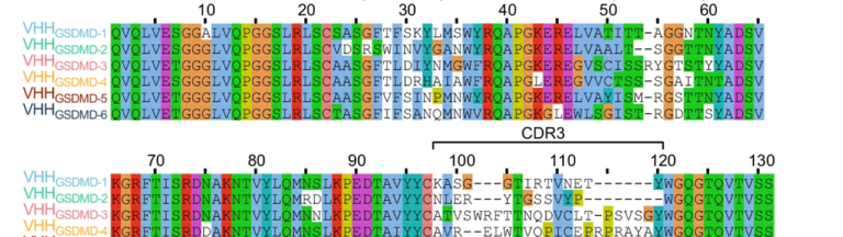 Central mechanism of inflammation decoded